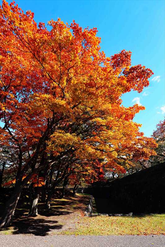 1026_函館五稜郭公園_北海道