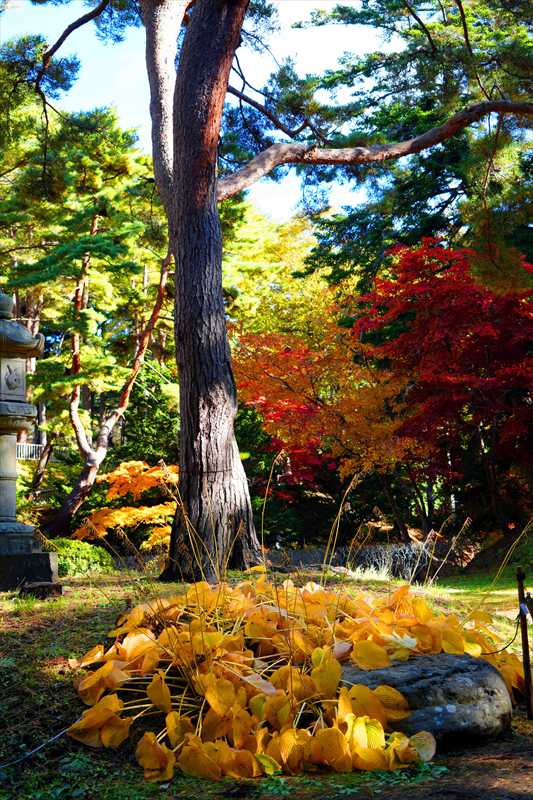 1007_函館見晴公園_北海道
