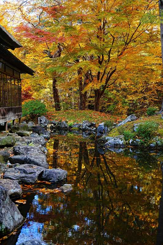 1013_函館見晴公園_北海道