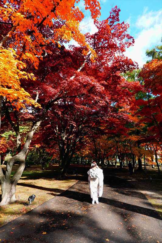 1014_函館見晴公園_北海道