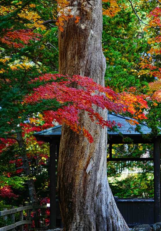 1022_函館見晴公園_北海道