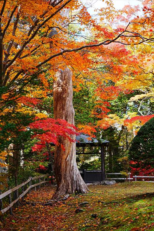 1023_函館見晴公園_北海道