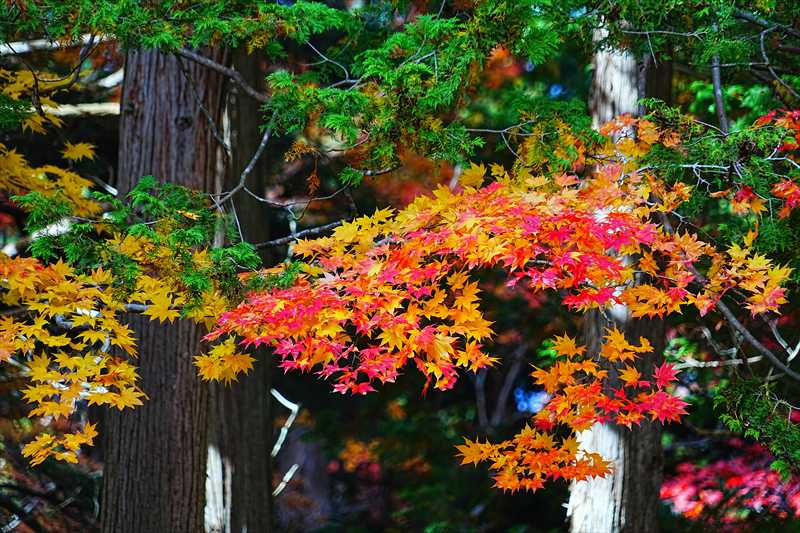 1025_函館見晴公園_北海道