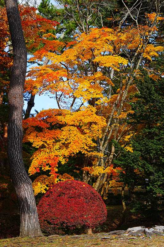 1027_函館見晴公園_北海道