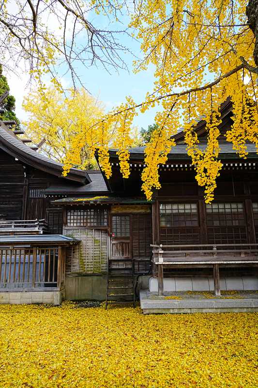 1003_函館湯倉神社_北海道