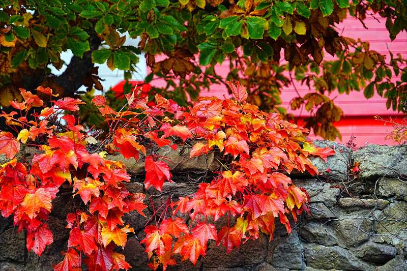 1032_函館カトリック元町教会_北海道