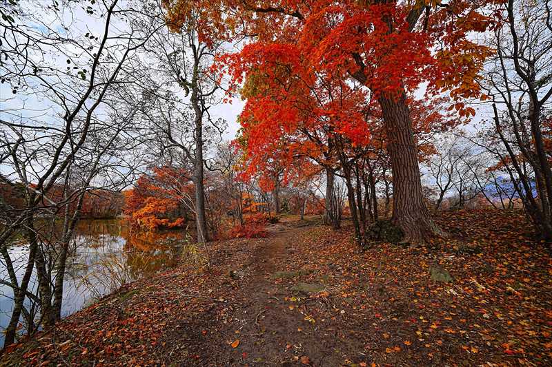 1078_大沼公園_北海道