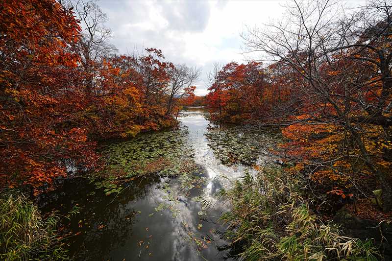 1082_大沼公園_北海道