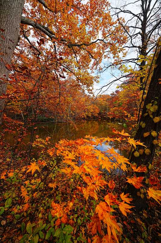1087_大沼公園_北海道