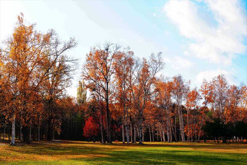 1092_札幌真駒内公園_北海道