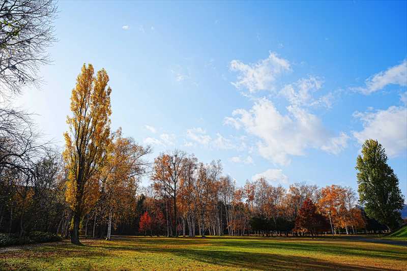 1094_札幌真駒内公園_北海道
