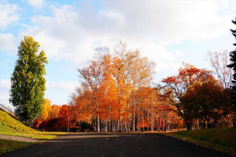 1096_札幌真駒内公園_北海道