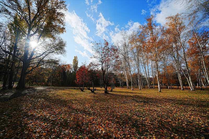1098_札幌真駒内公園_北海道