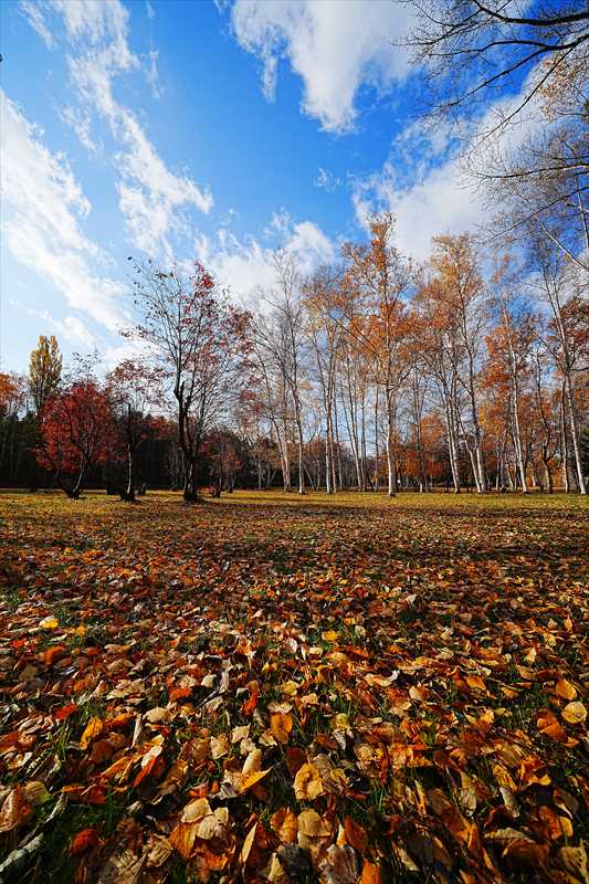 1099_札幌真駒内公園_北海道