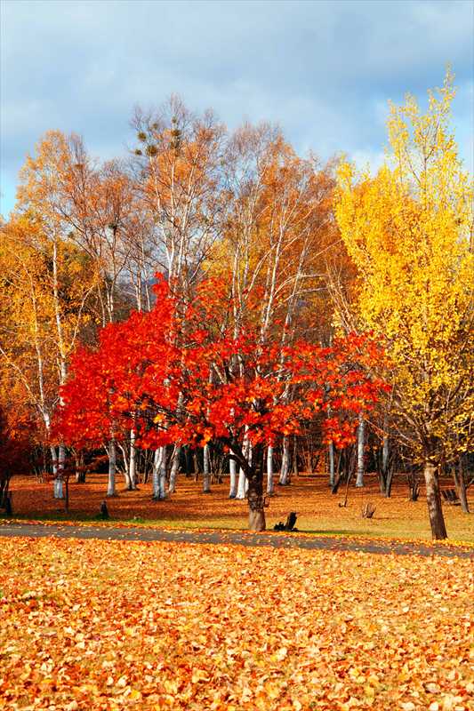 1100_札幌真駒内公園_北海道