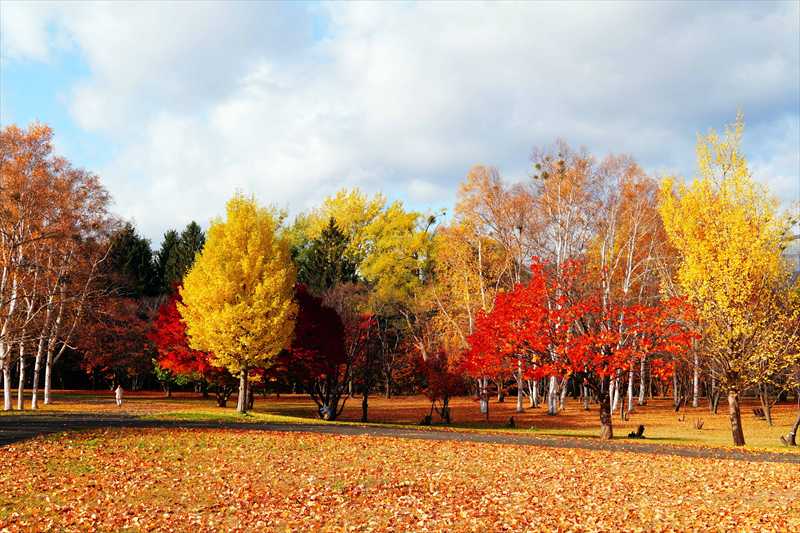 1101_札幌真駒内公園_北海道