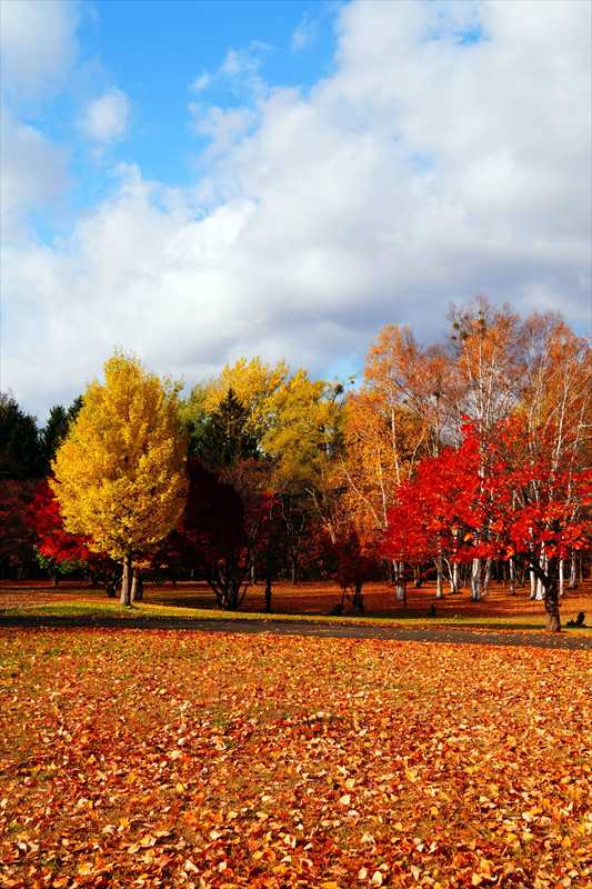1105_札幌真駒内公園_北海道