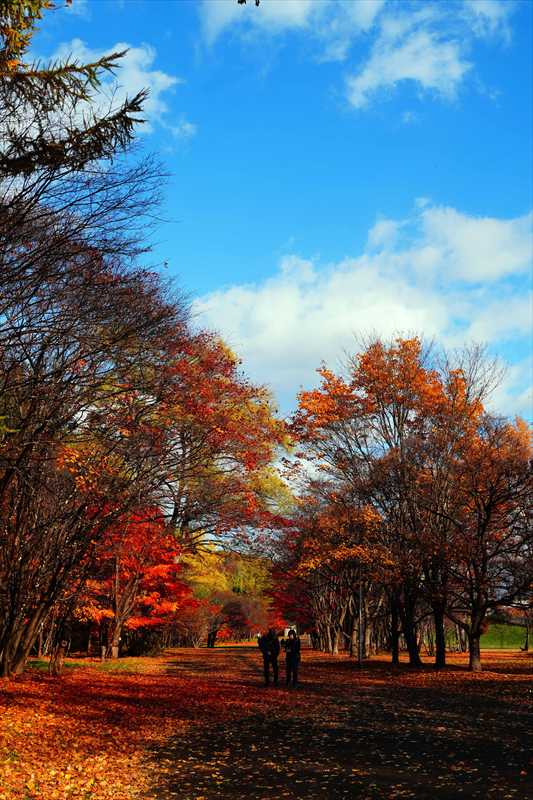 1106_札幌真駒内公園_北海道