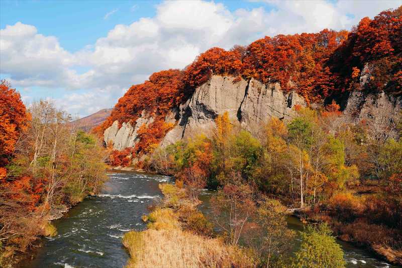 1110_札幌藻南公園_北海道