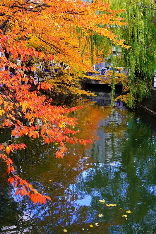 1120_札幌市内_北海道