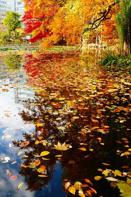 1121_札幌道庁赤れんが庁舎_北海道