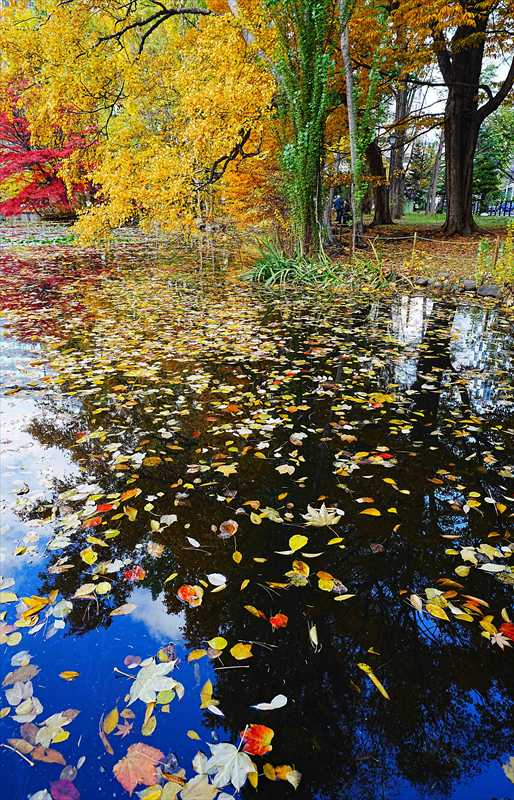 1122_札幌道庁赤れんが庁舎_北海道