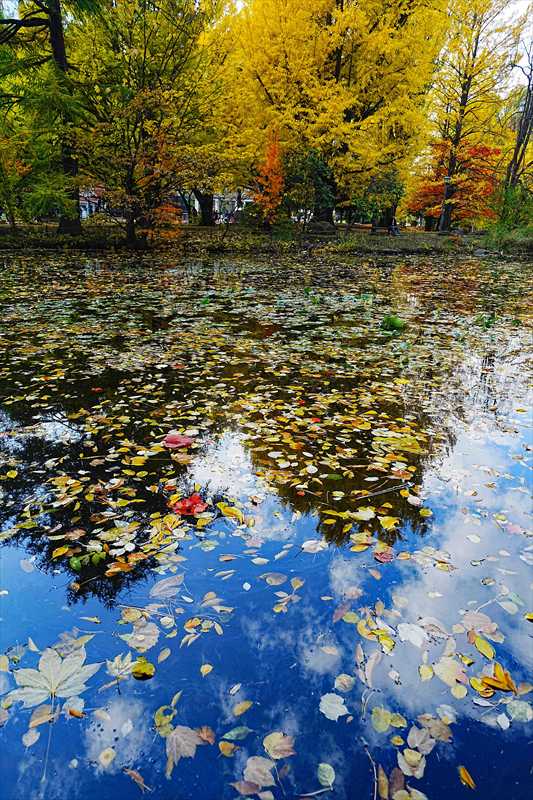 1123_札幌道庁赤れんが庁舎_北海道