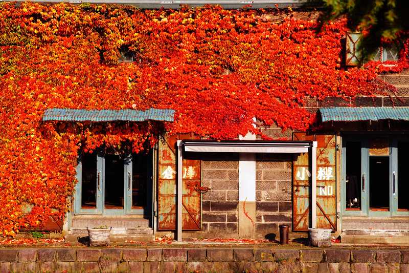 1126_小樽運河_北海道