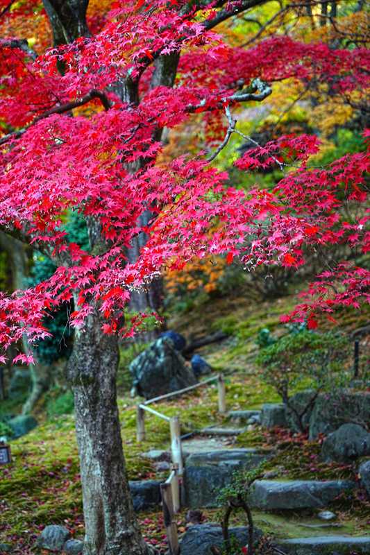 1009_高崎徳明園_群馬
