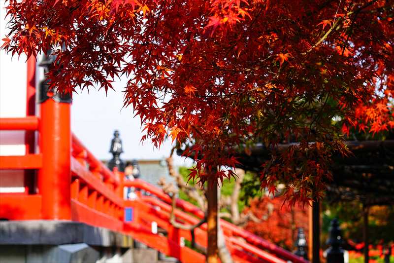 1012_観音山 慈眼院_群馬