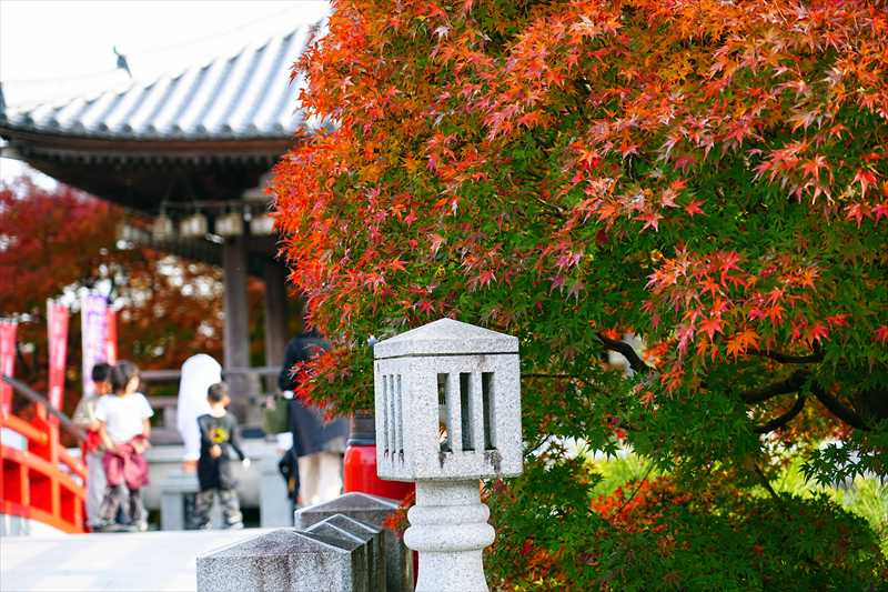 1013_観音山 慈眼院_群馬