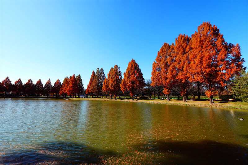 1001_川越水上公園_埼玉