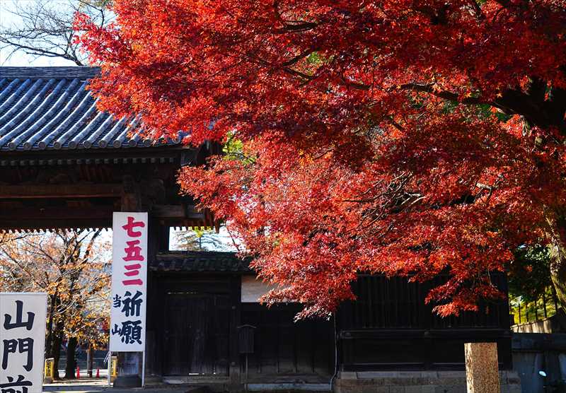 1002_川越喜多院_埼玉