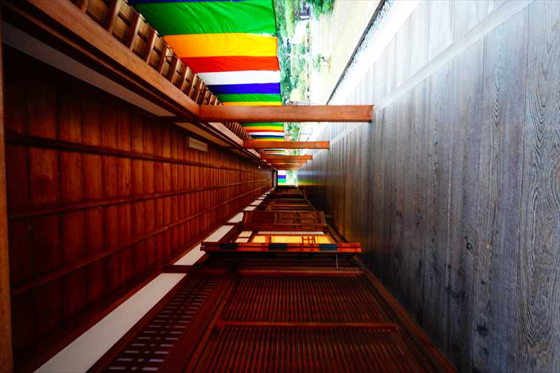 1060_洛東 智積院_京都