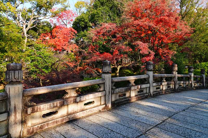 1208_洛東 大谷本廟_京都