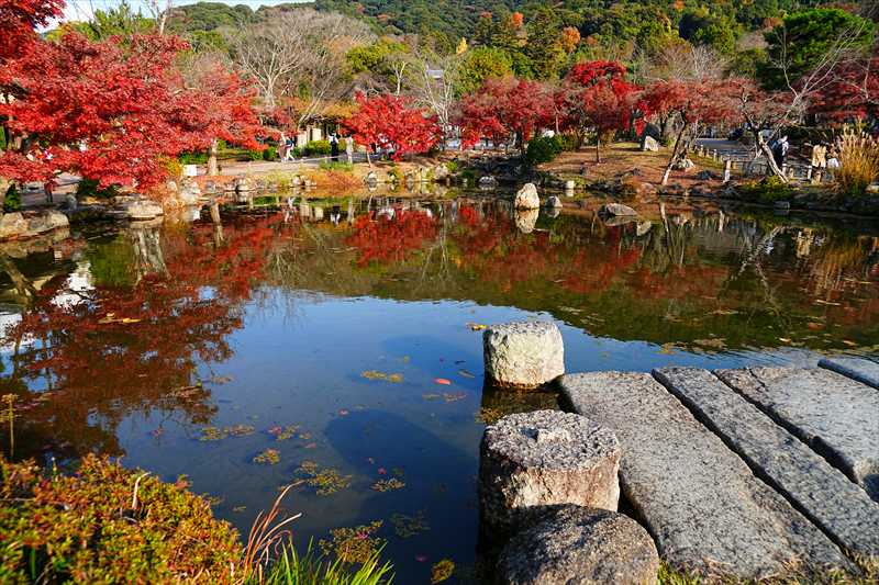 1252_洛東 円山公園ひょうたん池_京都