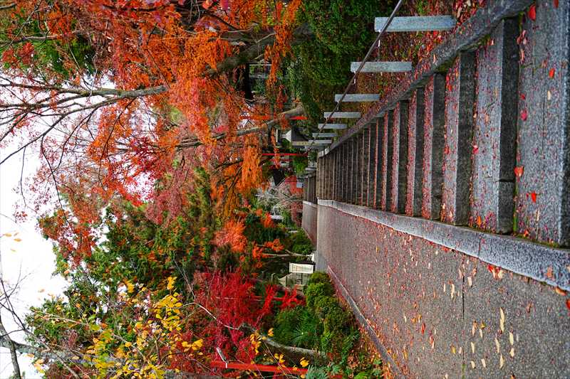 1213_洛東 粟田神社_京都