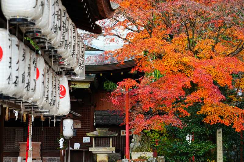 1214_洛東 粟田神社_京都