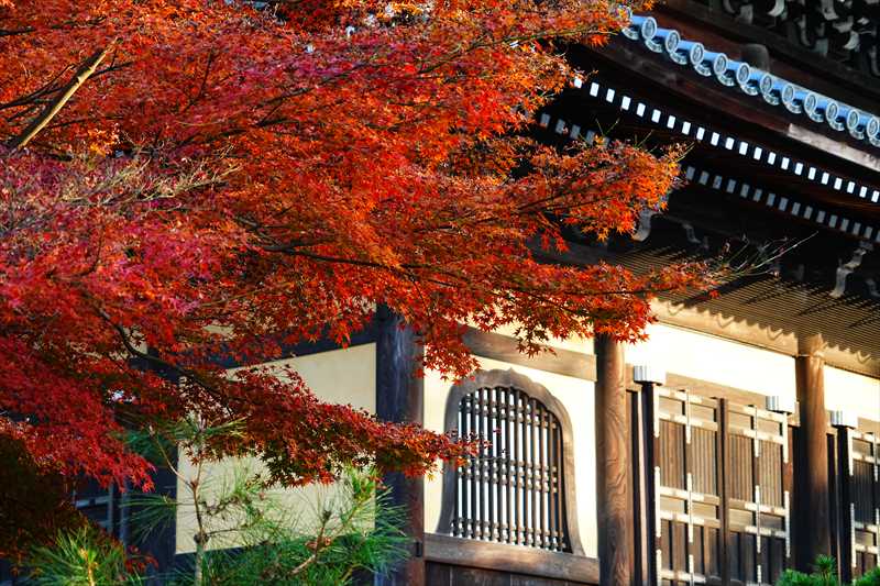 1016_洛東 南禅寺_京都