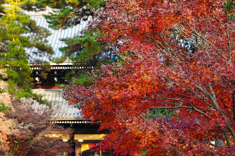 1018_洛東 南禅寺_京都